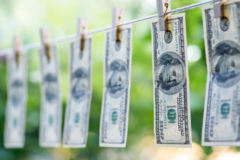Distinguishing Money Laundering from Embezzlement